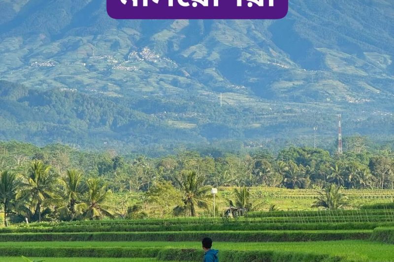 Malaysia 2026 Work Permit & Visa Updates — What You Need to Know (Latest Immigration Rules)